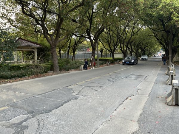 优速配资 人车混行，路面坑洼，被吐槽为“莘庄最差道路”的虹莘路何时大修？