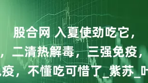 股合网 入夏使劲吃它，一祛湿驱寒，二清热解毒，三强免疫，不懂吃可惜了_紫苏_叶子_二婶
