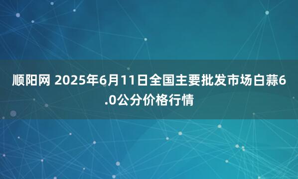 顺阳网 2025年6月11日全国主要批发市场白蒜6.0公分价格行情