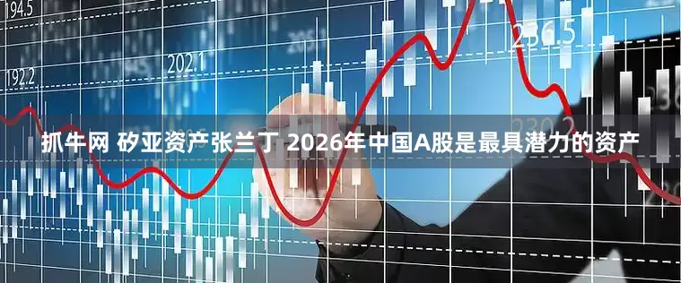 抓牛网 矽亚资产张兰丁 2026年中国A股是最具潜力的资产